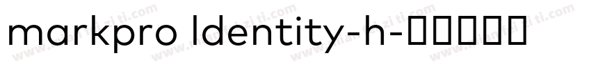 markpro ldentity-h字体转换